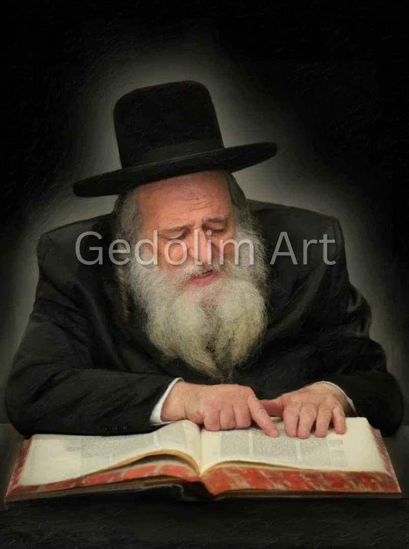 Reb Shaul Alter - Elegant Vinyl Portrait For Noy Sukkah