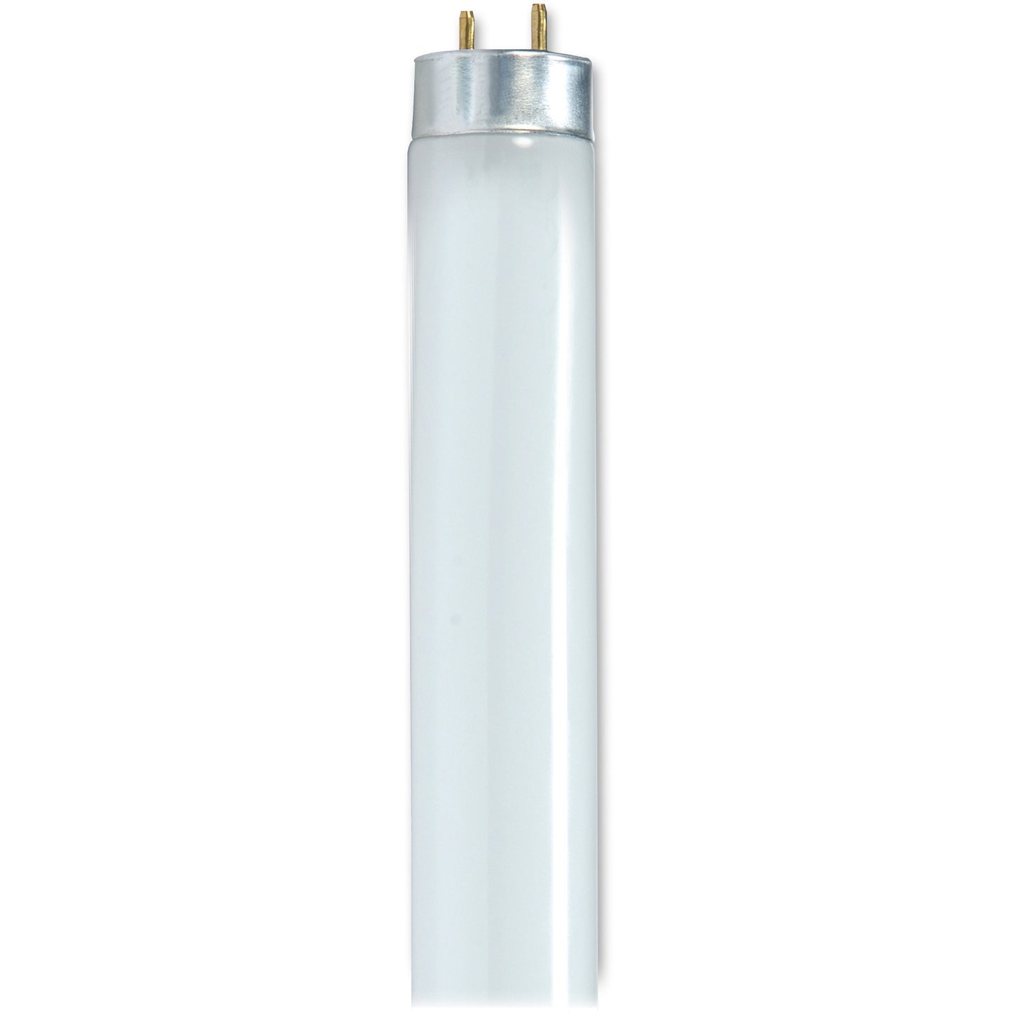 BULB FLUOR F32T8/841 48"
