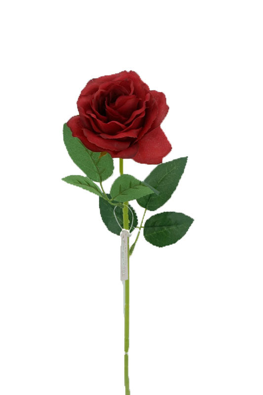Red Rose