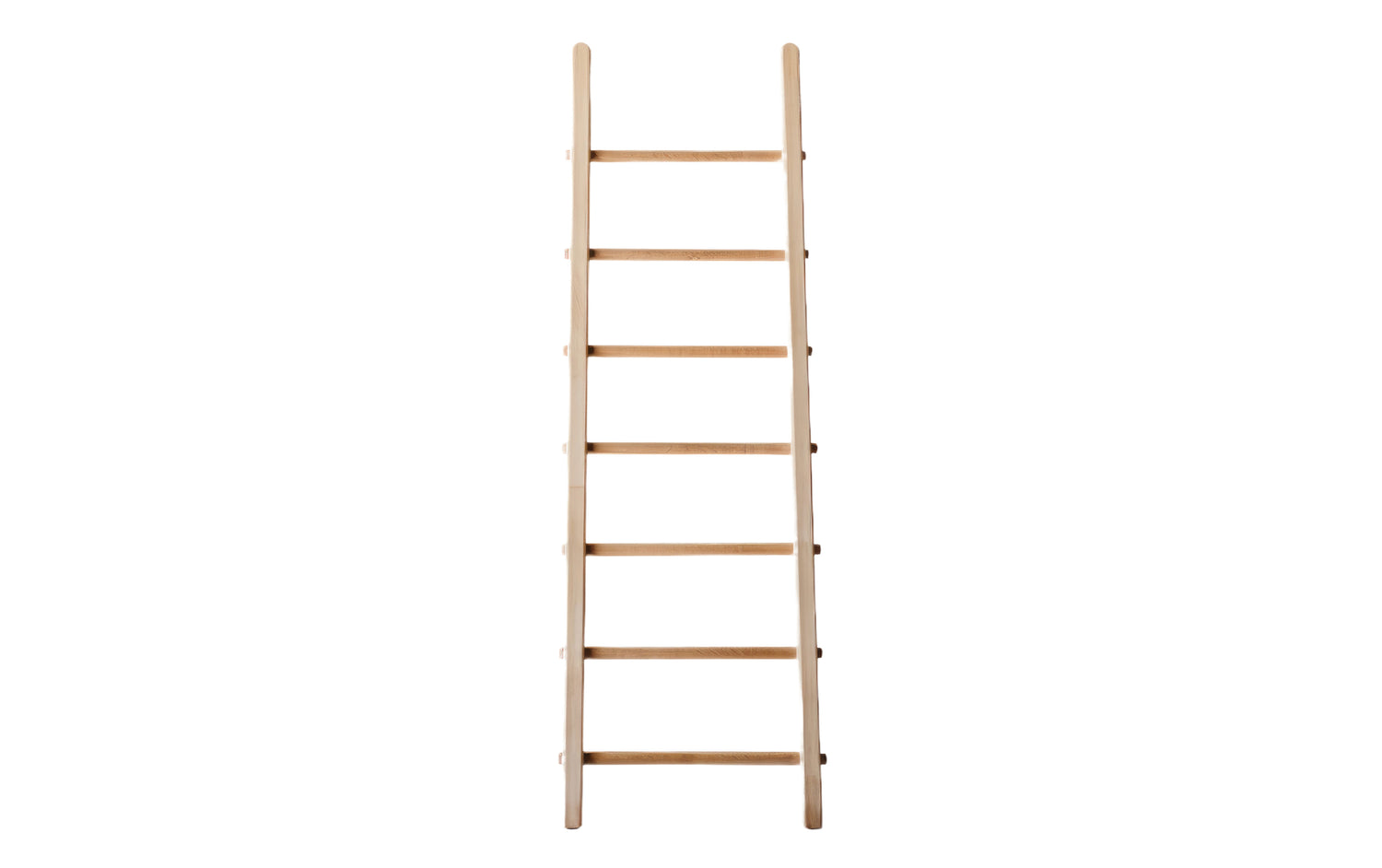 Multi-Position Ladders