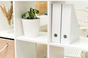 Shelves And Shelf Organizers