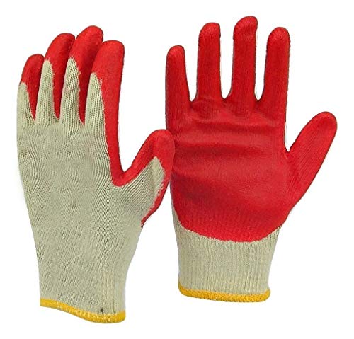 10 Pk Red Gloves 1