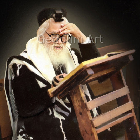 Rabbi Elazar Menachem Man Shach - Elegant Vinyl Portrait For Noy Sukkah