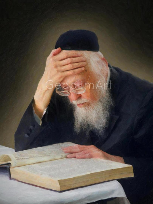 Rav Elyashiv - Elegant Vinyl Portrait For Noy Sukkah