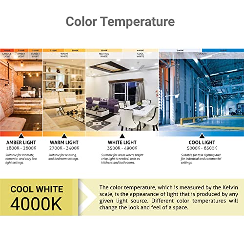 BR30 Led Reflector Bulb 4000K