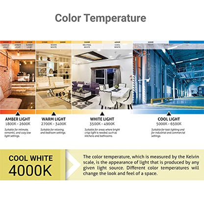 BR30 Led Reflector Bulb 4000K