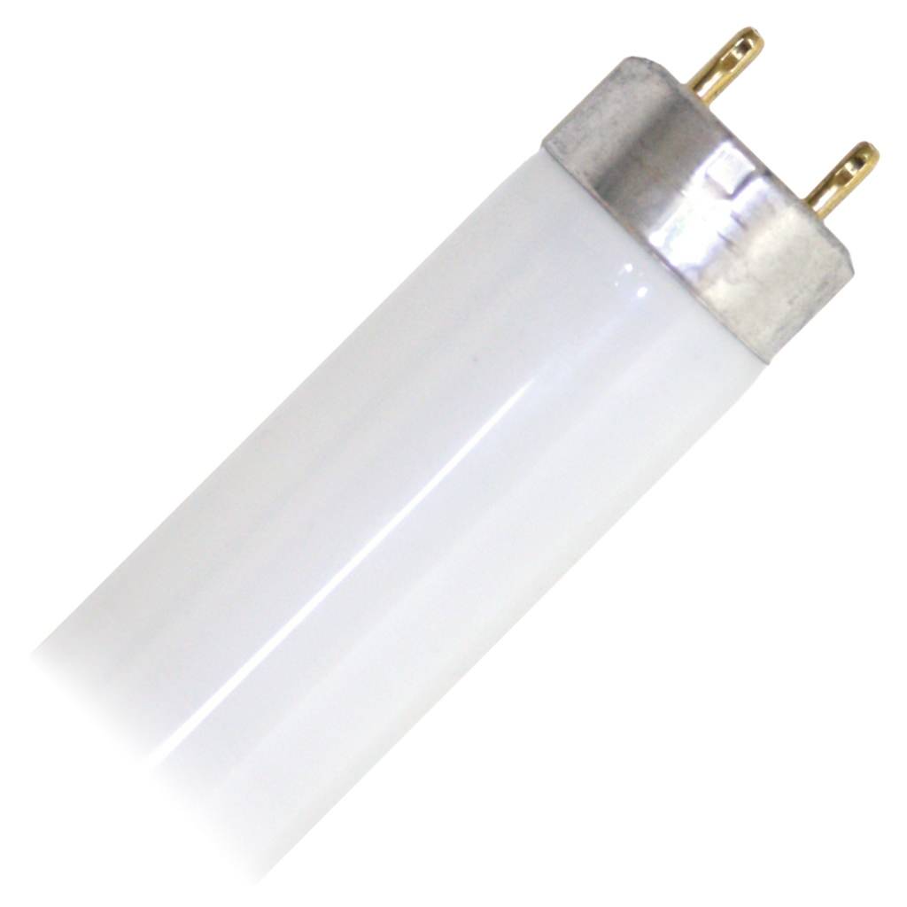 32 Watt; T8; Fluorescent; 5000K Natural Light; 85