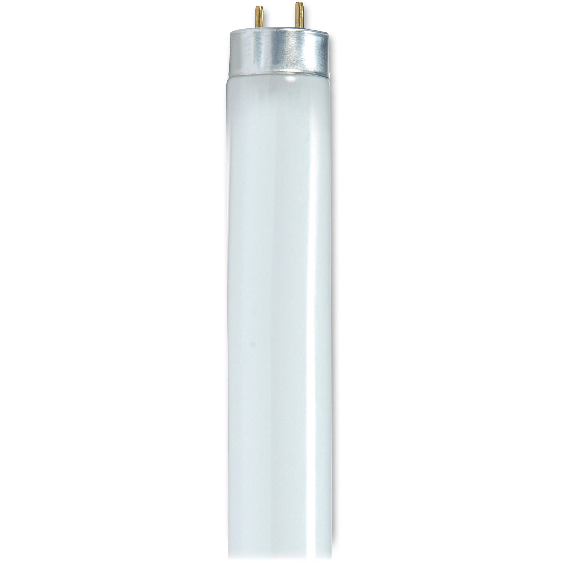 BULB FLUOR F32T8/841 48"