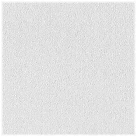 CEIL PNL SHEETROCK 2'X2'