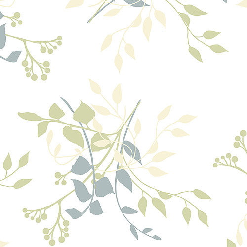 CONTACT-3 YD-ASPEN ALOE 2