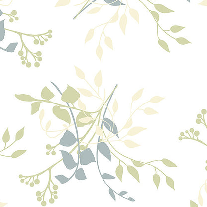 CONTACT-3 YD-ASPEN ALOE 2
