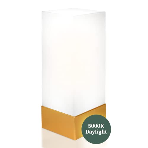 Enlighen Shabbos Lamp 2