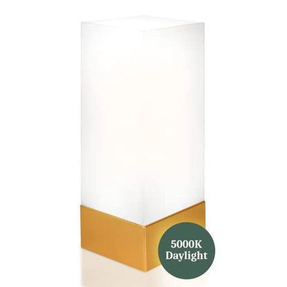 Enlighen Shabbos Lamp 2