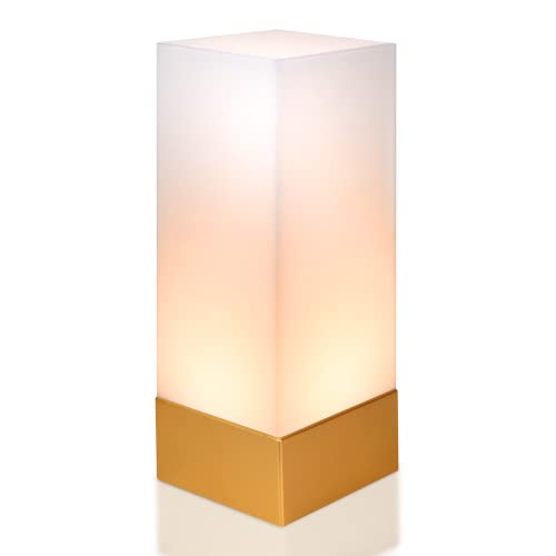 Enlighen Shabbos Lamp 10