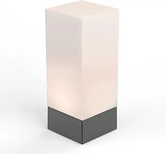 Enlighen Shabbos Lamp 6