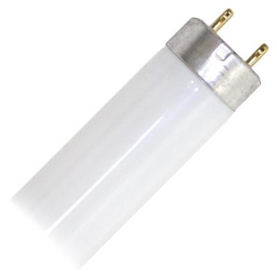 F30T8 Bulb