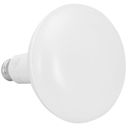 Floodlight BR40, LED 13W 927 2