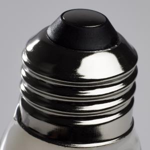 G25 60 Wt Frosted Led Globe Bulb 5000K 2