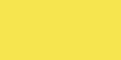KRYLON NOW SUNSHINE YELLOW 9 OZ SPRAY PAINT