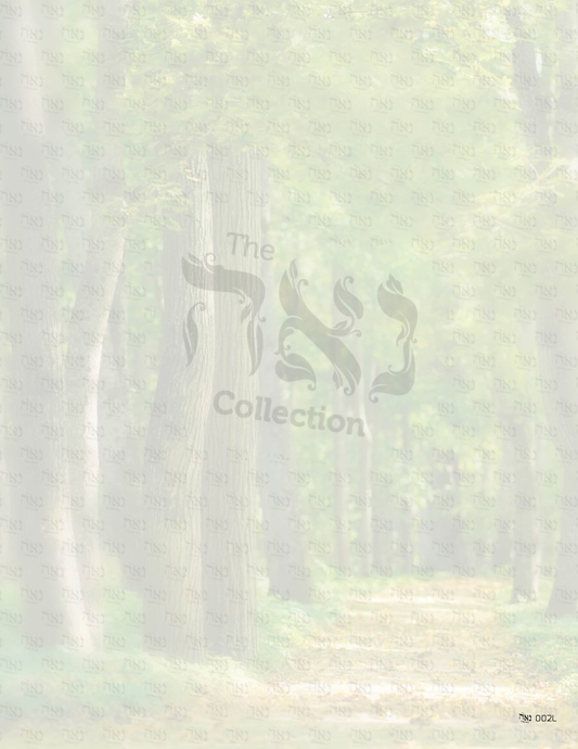 Design paper Scenic Pathway 3x4 " 50  Per Pack