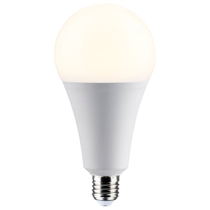 Satco 30W 5000K