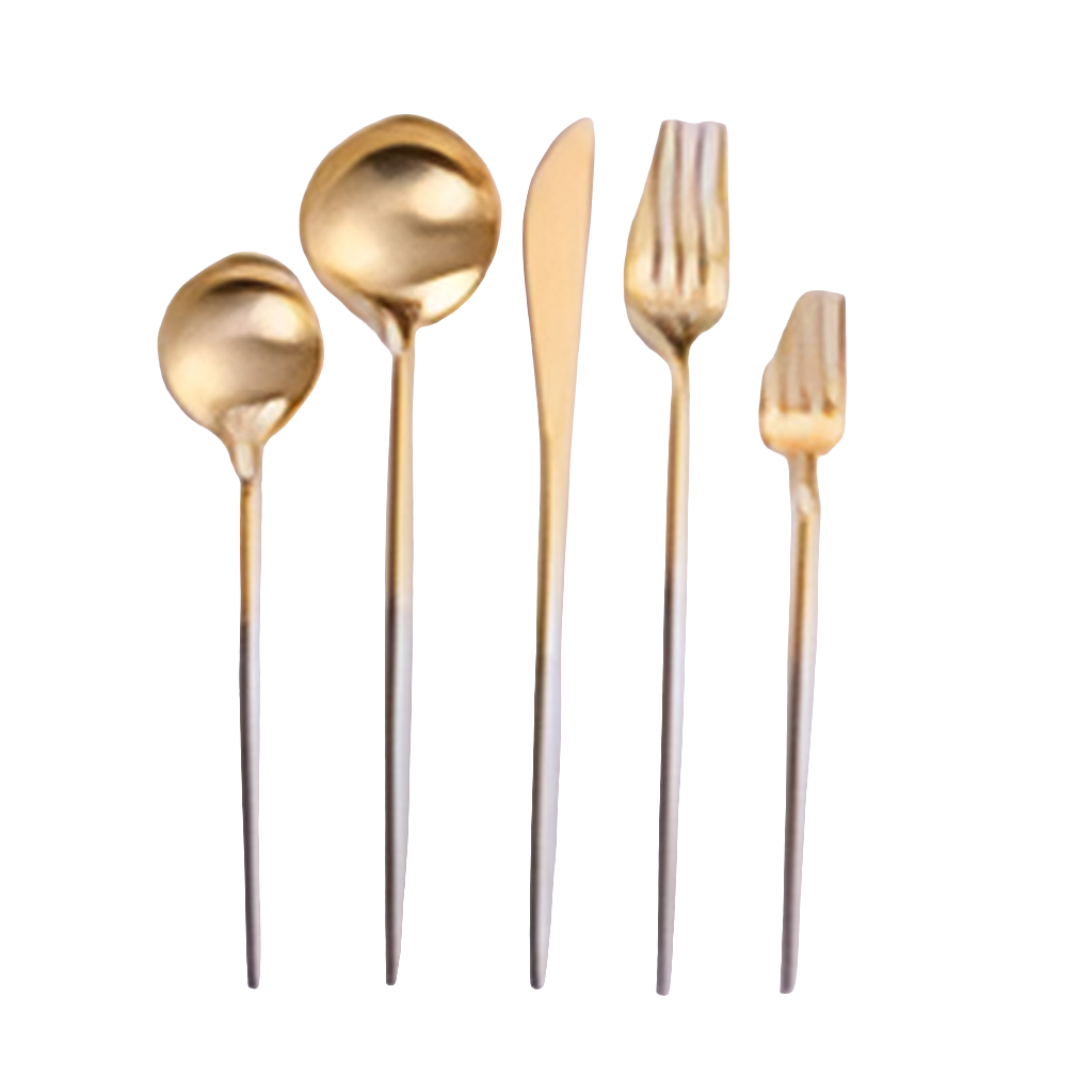 Vikko Dine - Vera, Two Tone Brushed Silver And Gold, 18/10 Flatware, 20 Pc Set, Service For 4 Gift Box No Window