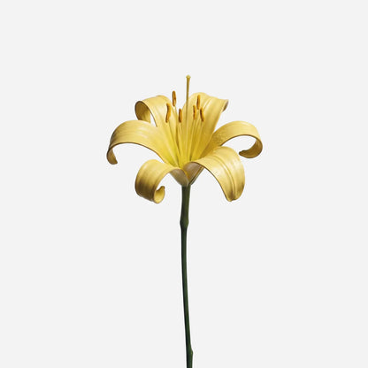 Frave Room Spray Citris Lily