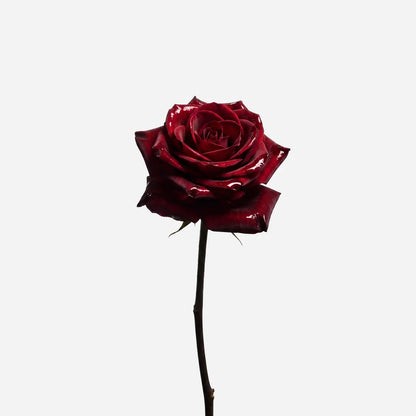 Frave Room Spray JZ Rose