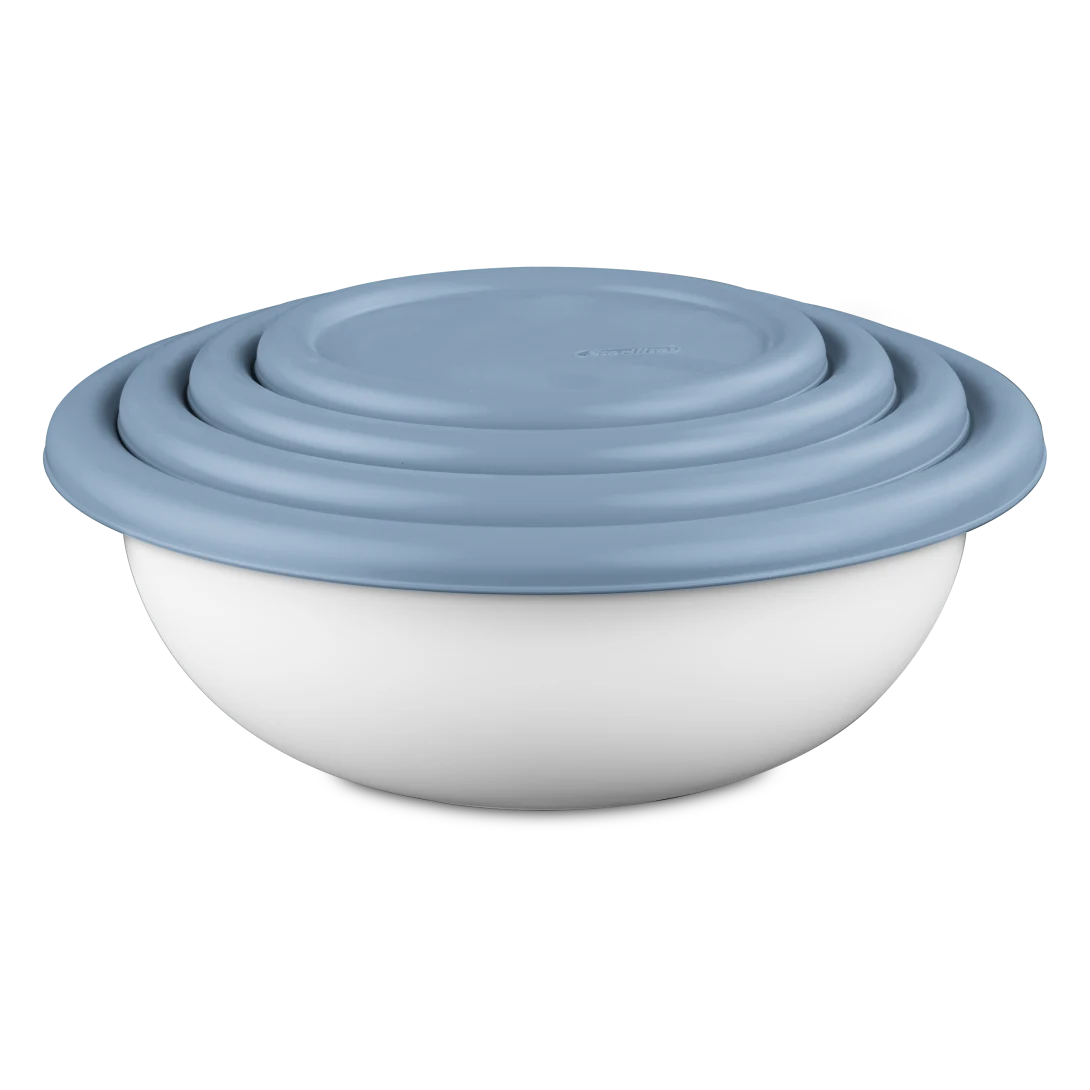 BOWL SET OF 4 w/COVERS-